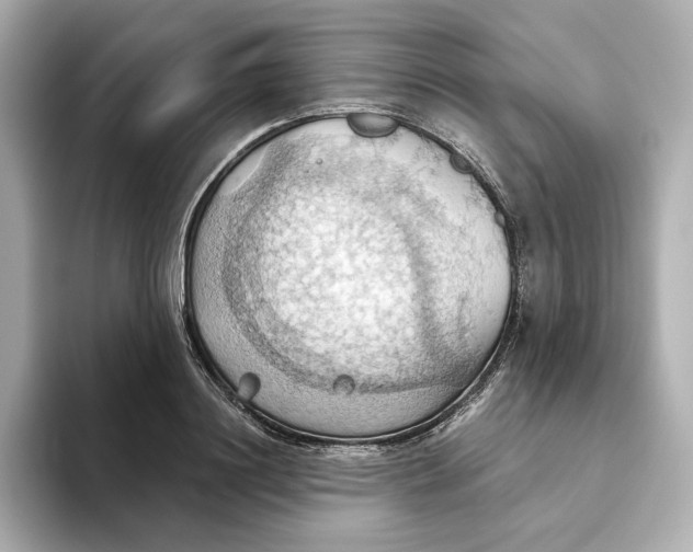 X0000093520844200711021044