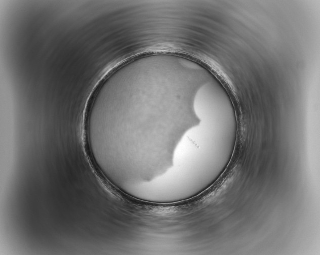 X0000093520845200711021045