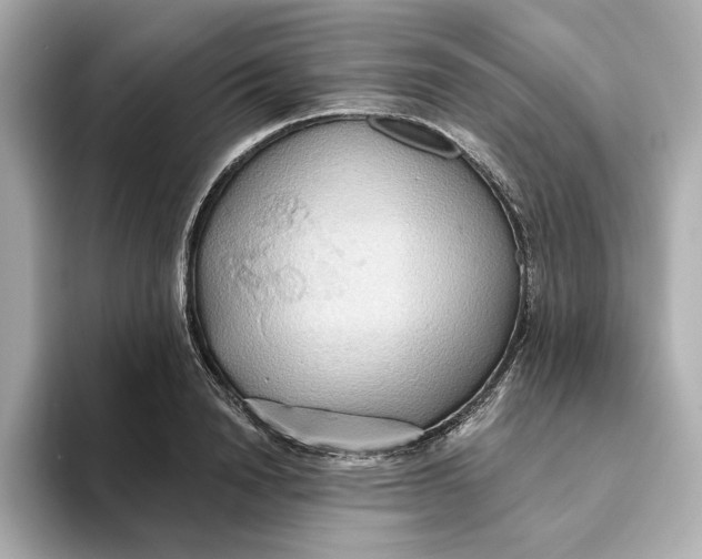 X0000093520846200711021045