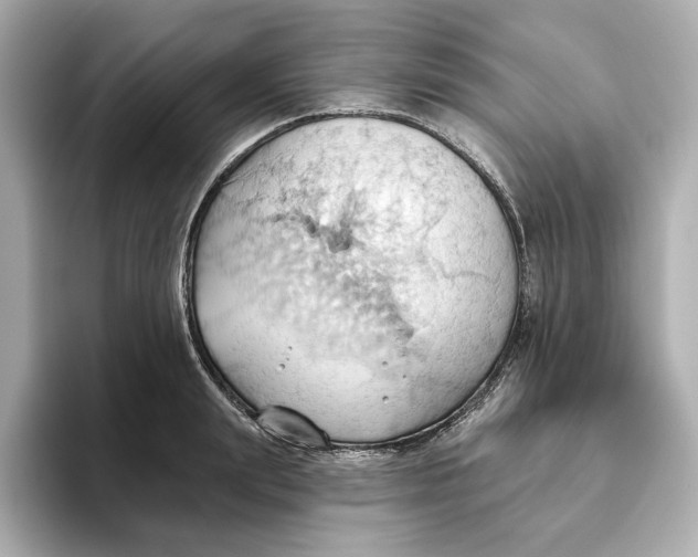 X0000093520847200711021045