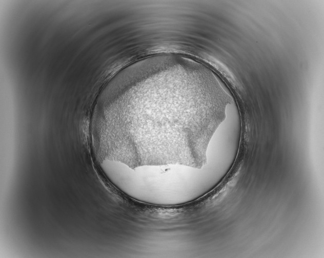 X0000093520849200711021045