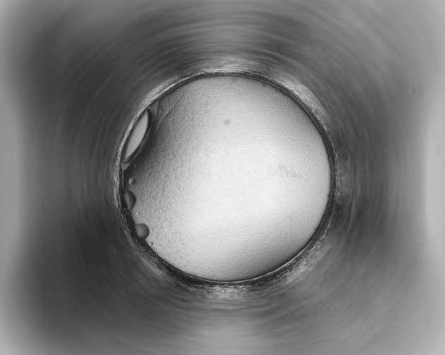 X0000093520850200711021045