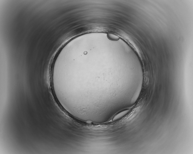 X0000093520851200711021045