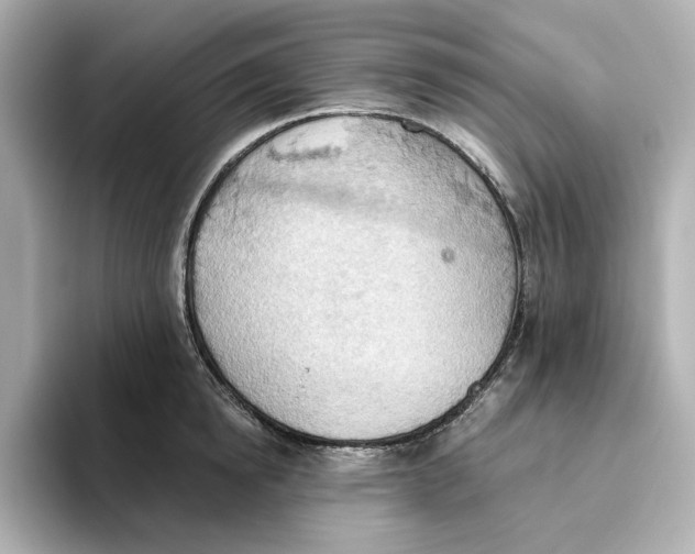 X0000093520854200711021045