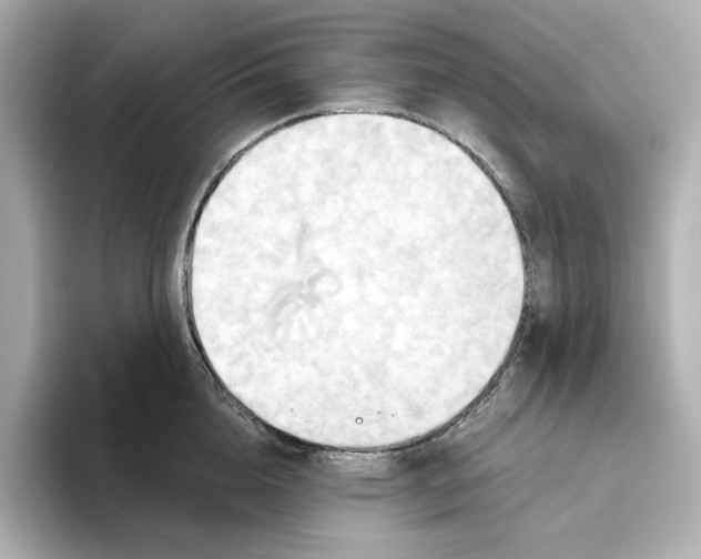 X0000093520856200711021045