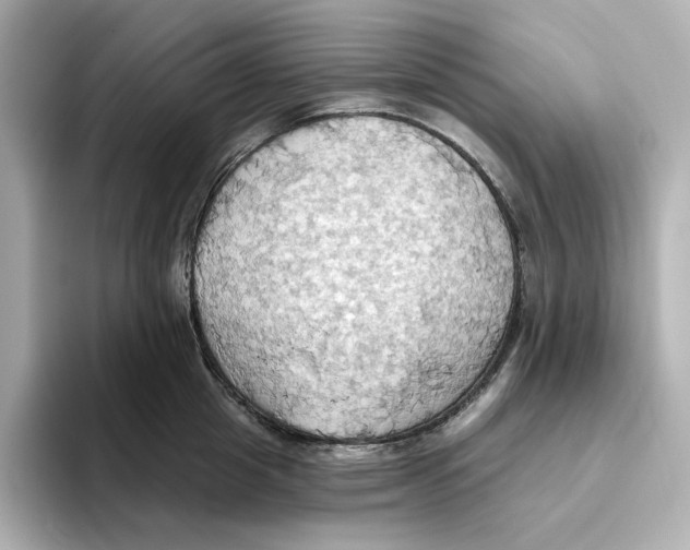 X0000093520857200711021045