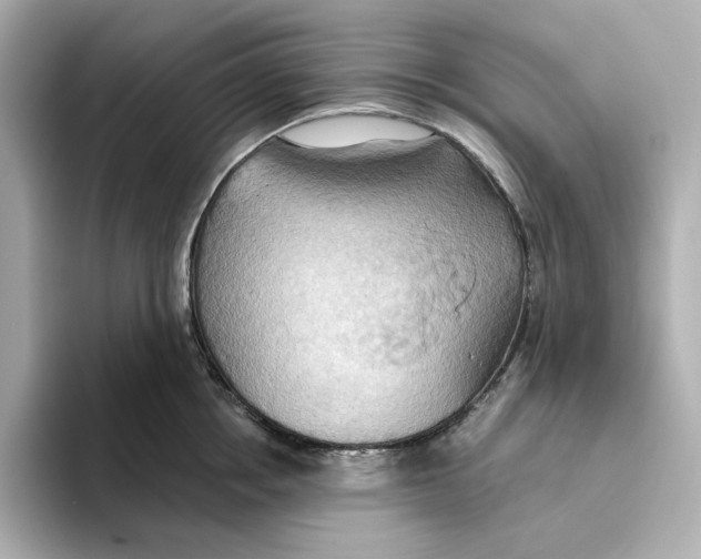 X0000093520858200711021045