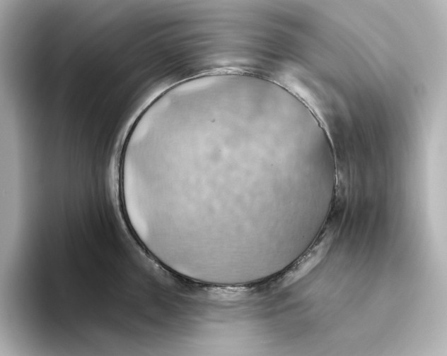 X0000093520859200711021045