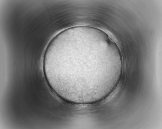 X0000093520862200711021045