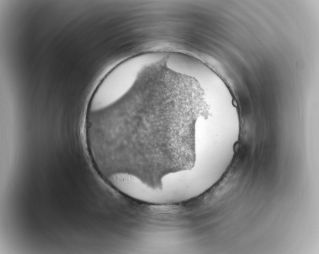 X0000093520863200711021045