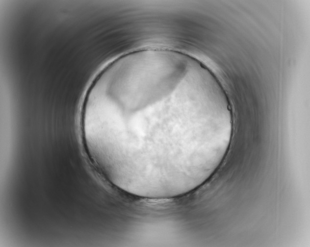 X0000093520864200711021045