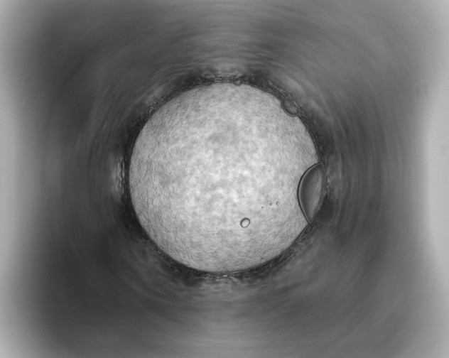 X0000093520866200711021044