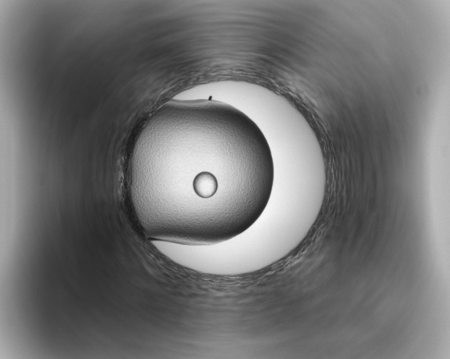 X0000093520868200711021044