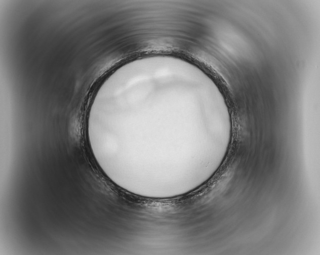 X0000093520874200711021044