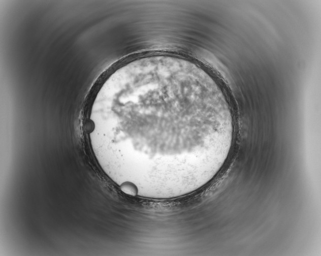 X0000093520875200711021044