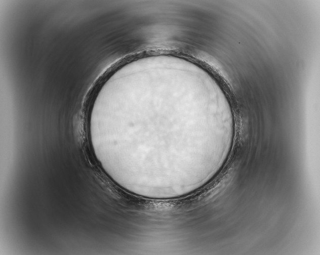 X0000093520878200711021044