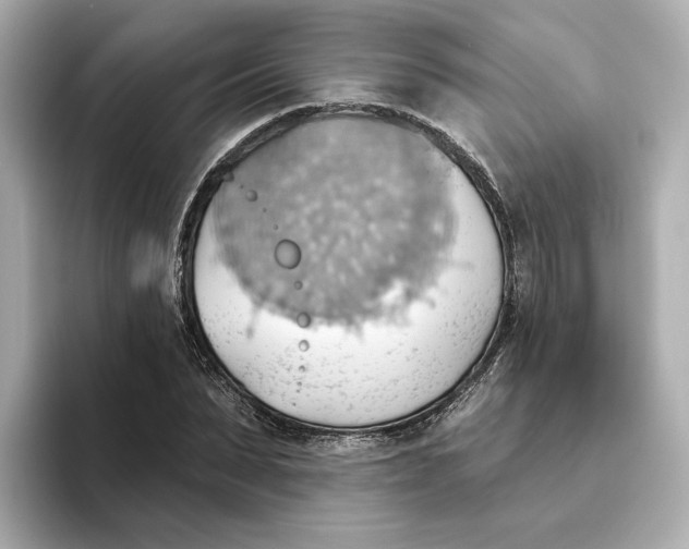 X0000093520879200711021044