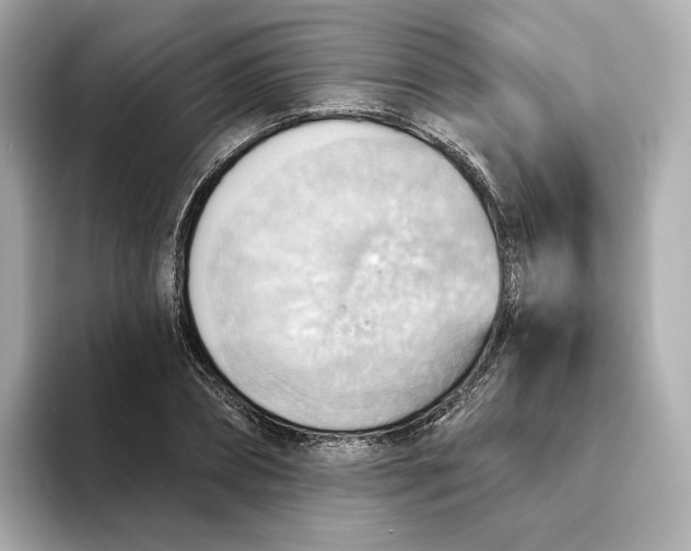 X0000093520882200711021044