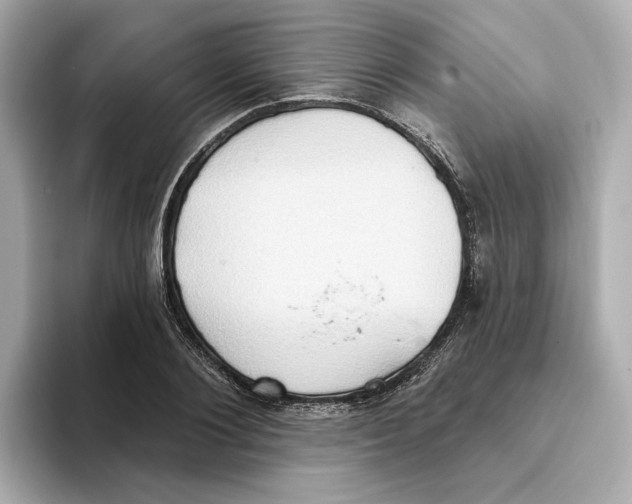 X0000093520884200711021044