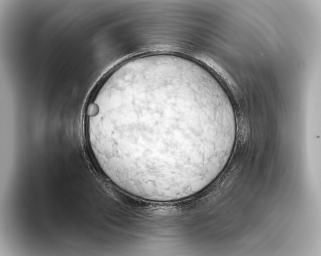 X0000093520886200711021044