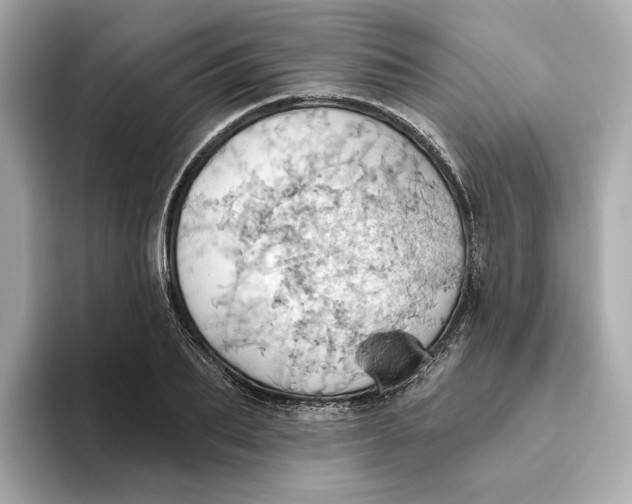 X0000093520887200711021044