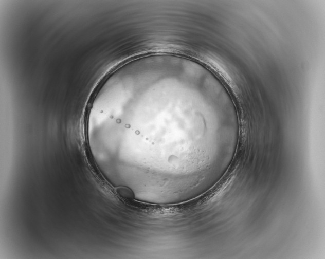 X0000093520891200711021044