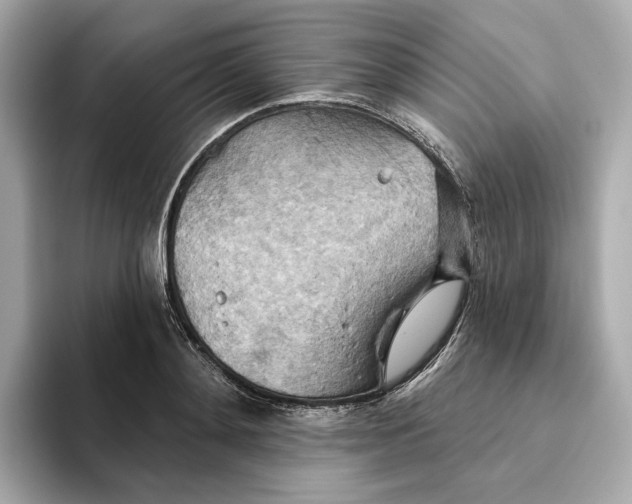 X0000093520892200711021044