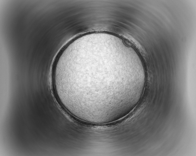 X0000093520894200711021044