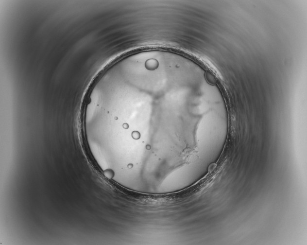 X0000093520895200711021044