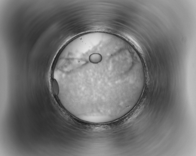 X0000093520899200711021044