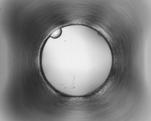 X0000093520902200711021044