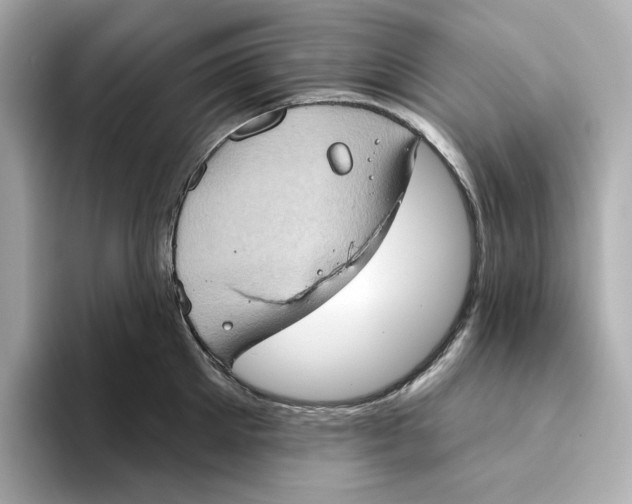 X0000093520905200711021044