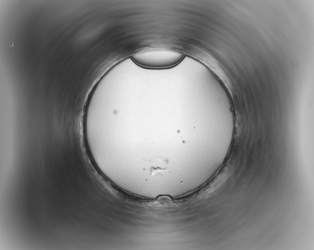 X0000093520906200711021044