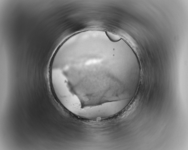 X0000093520907200711021044