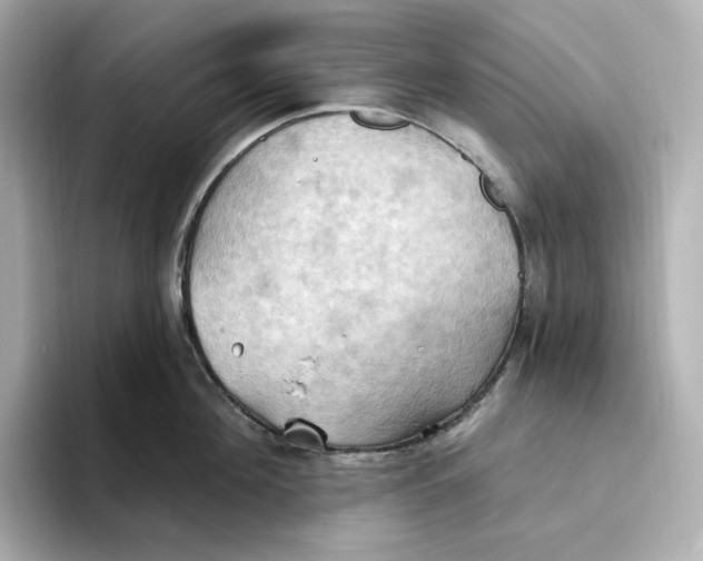 X0000093520908200711021044