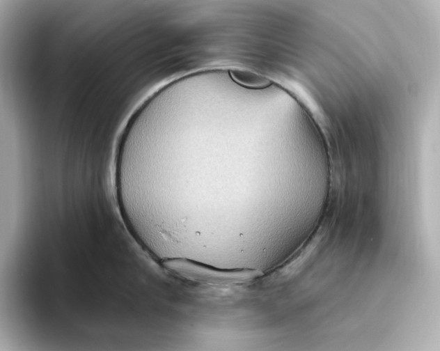 X0000093520910200711021044