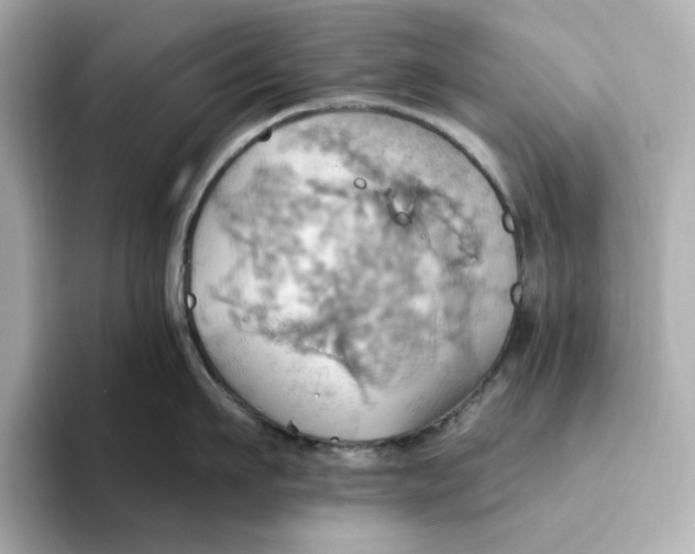 X0000093520911200711021044