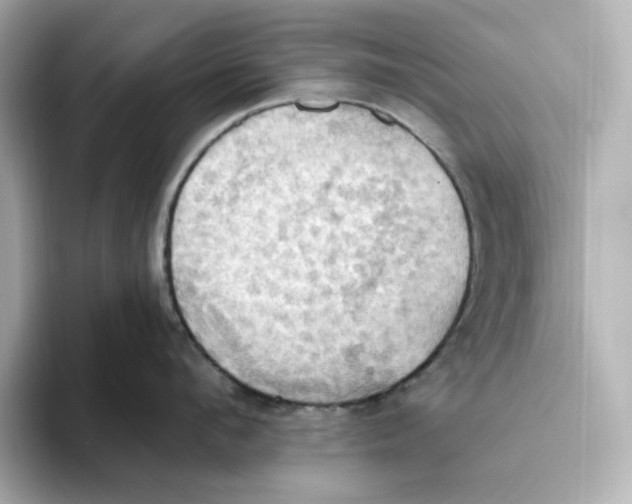 X0000093520912200711021044