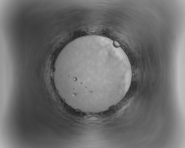 X0000093520913200711021043