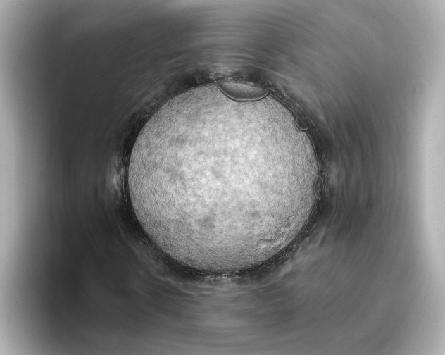 X0000093520914200711021043