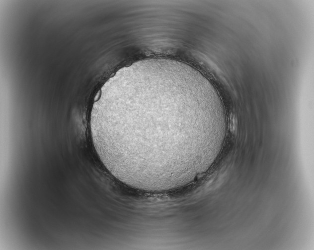 X0000093520915200711021043