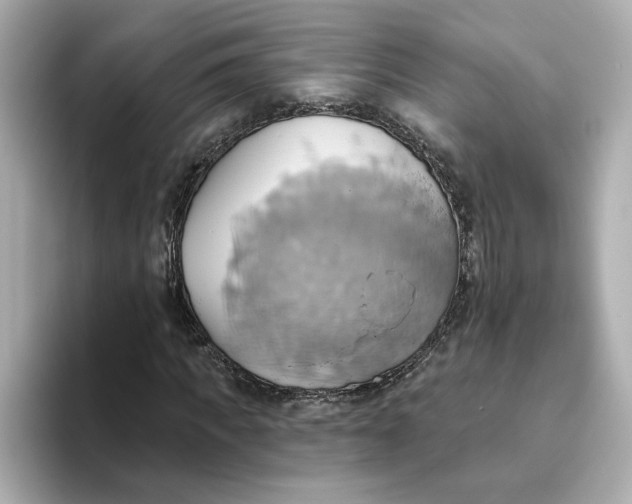 X0000093520917200711021043