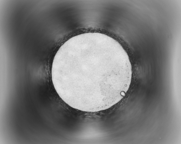 X0000093520918200711021043