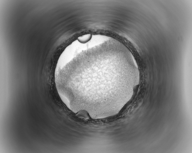 X0000093520919200711021043