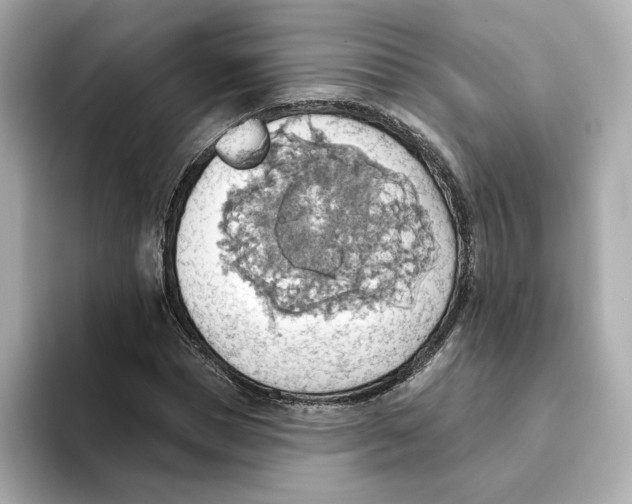 X0000093520921200711021043