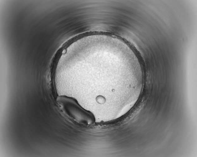 X0000093520923200711021043