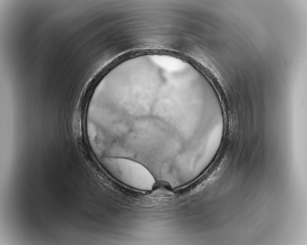 X0000093520925200711021043