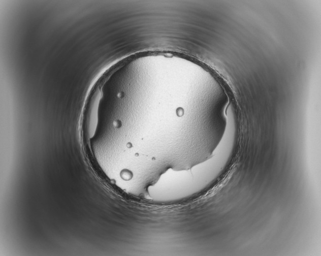 X0000093520928200711021043