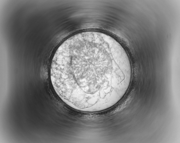 X0000093520929200711021043