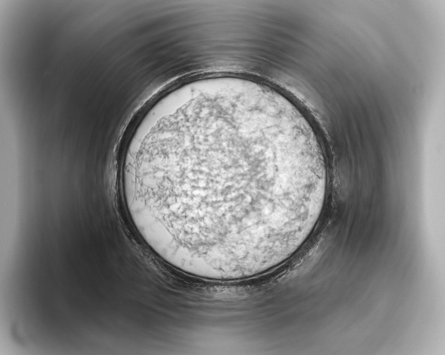 X0000093520933200711021043